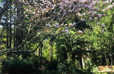 Casa Goldoni Gramado - Photo 42