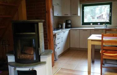 Domek letniskowy Pod brzozami Pszczew - Foto 19