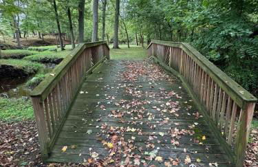 Peaceful Apartment nature right outside your door - Foto 24