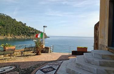 L' eden di Erasmo - Foto 1