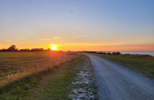 Ferienhof Manowski Nr1 - Foto 16