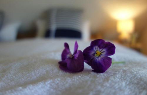 Ferienhaus Karlin - Foto 19