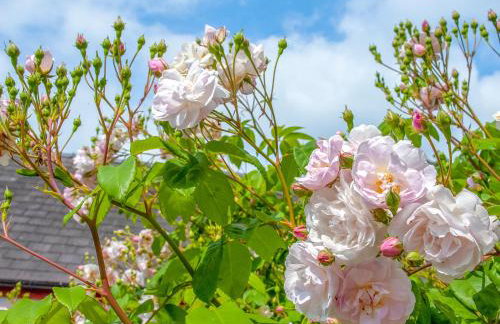 Inglenook Cottage - Foto 12