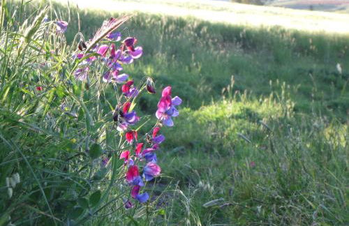 Agriturismo San Pietro - Foto 61