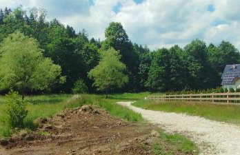 Górska Polana, Stronie Śląskie - Młynowiec - Foto 26