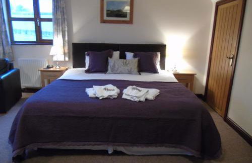 Pwllgwilym B & B - Foto 22