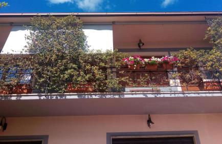 EVERGREEN TERRACE- stile e confort - Foto 42