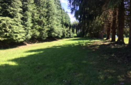 Unique & serene 1-Bed Cabin close to Domfront - Foto 32