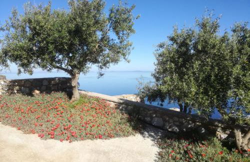 Sarris Planet - Photo 6