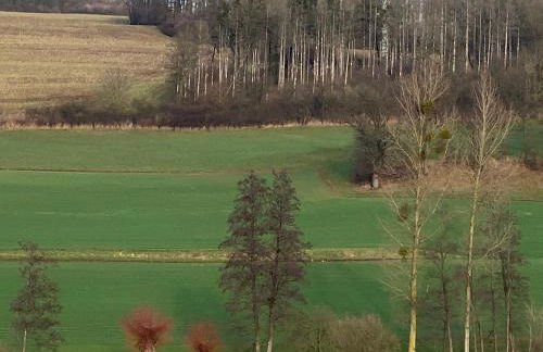 Weite Blicke in Horn - Foto 22