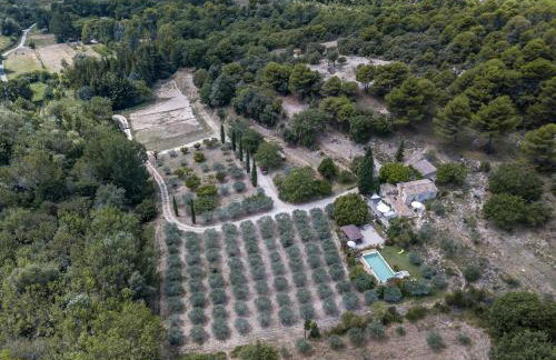 la petite maison - Foto 17