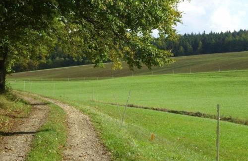 Apartment Wohnung in Oberwaldbach mit Garten und Grill by Interhome - Foto 22