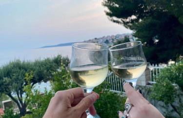 Luxury Seaside Villa with a classic Mediterranean Olive Garden, a fully equipped Professional Kitchen, Pool, Sauna, Padle Boards and Canoe - Miolin Beach House - Photo 79