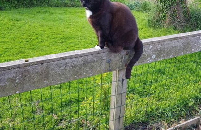 Country Life Comfortable Holiday Residence - Foto 21