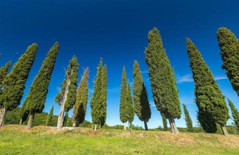 Villa Mamma Mia - Foto 23