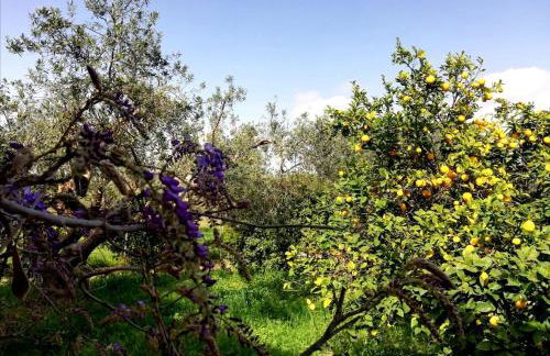 Un balcone sul mare - Foto 6