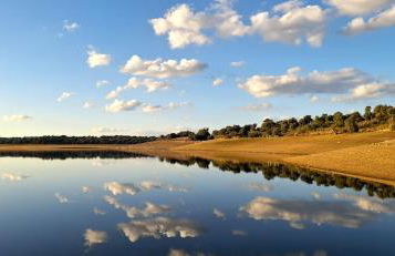 Casa das Laranjeiras - Foto 32