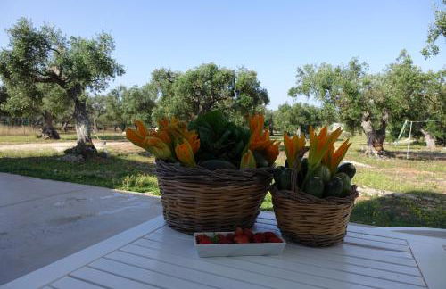 giardino del tempo - Foto 33