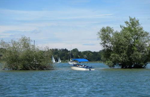 Dennenboomdroom - Foto 19