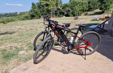 Agriturismo Affaccio su Orvieto - Foto 55