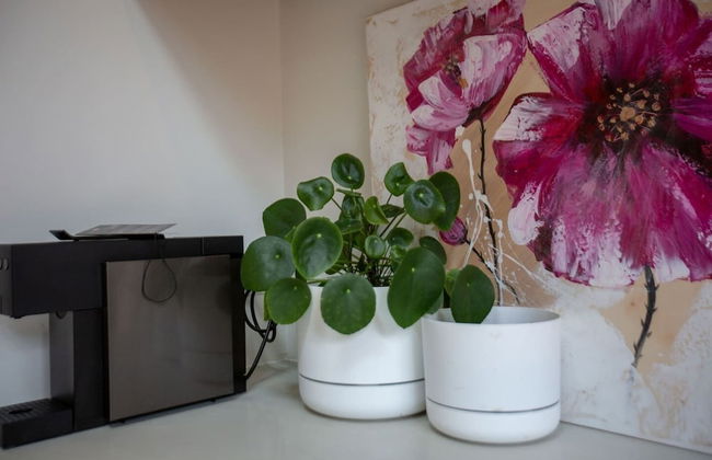 Comfy Holiday House With Pool@rosanna - Foto 10