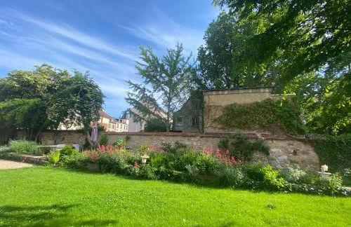 La Villa Alma Colmar - Foto 22