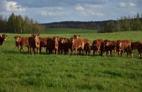 Siedlisko nad Łąkami - Foto 13