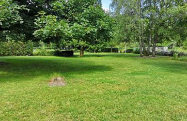 Niederwald - Foto 35