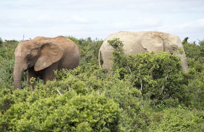 Sundays Mouth Guesthouse - Photo 18