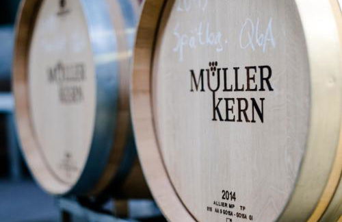 Weingut & Ferienwohnungen Müller-Kern - Foto 9