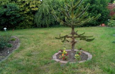 Ferienwohnung - Foto 6