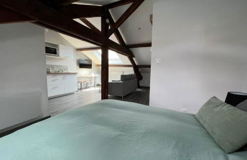 Studio entièrement rénové - Foto 6