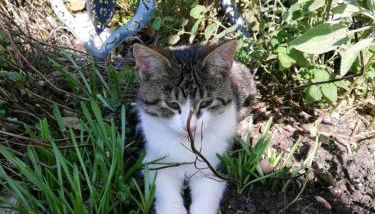 Meisterbauerhof - Foto 2