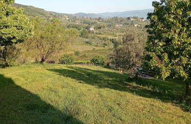 Casa della Poggiole - Foto 12