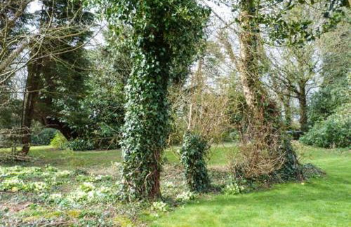 Standard Hill Cottage - Photo 13