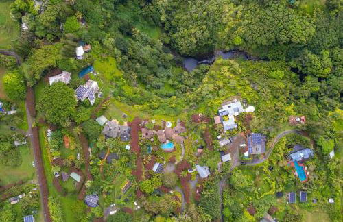 Jasmine Suite on Lush farm in Haiku, Maui jungle - Photo 29