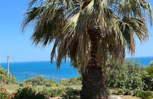 Villa Sovareto - Photo 12
