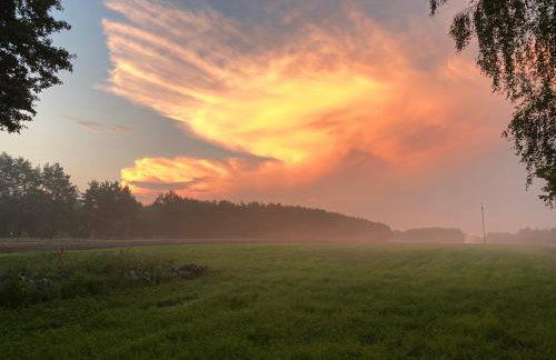 Dom na Włościach - Foto 22