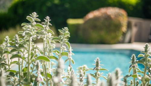 Le Refuge Provençal Nijonyas - Photo 5