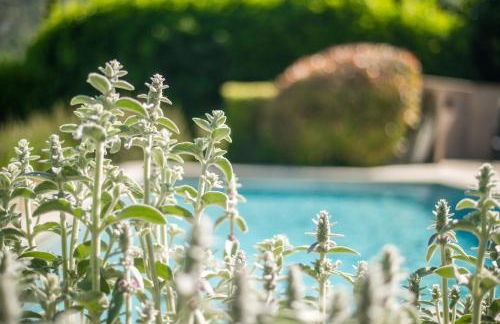 Le Refuge Provençal Nijonyas - Foto 5