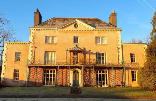 Little Plas - Foto 1