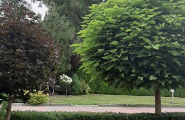 Podlaska Oaza - Dom całoroczny z sauną. - Foto 26