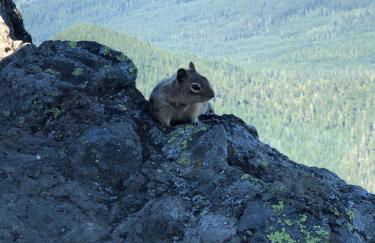 Blackberry Bunkhouse - Foto 18