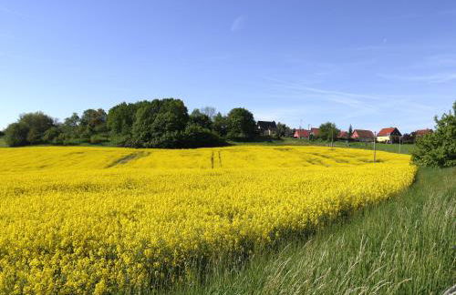 Ferienhaus Maxen - Foto 21