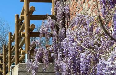 La casa di Noah - Photo 12