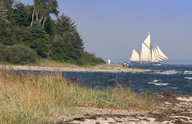 "Rina" - 30m to the fjord - Foto 19