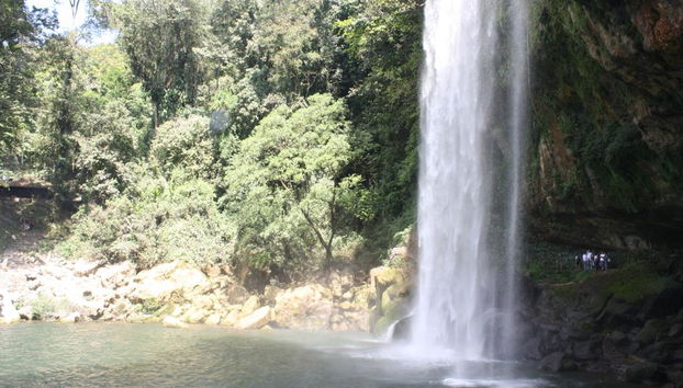 Cascadas de Agua Azul, Misol-Ha und Palenque - Foto 4