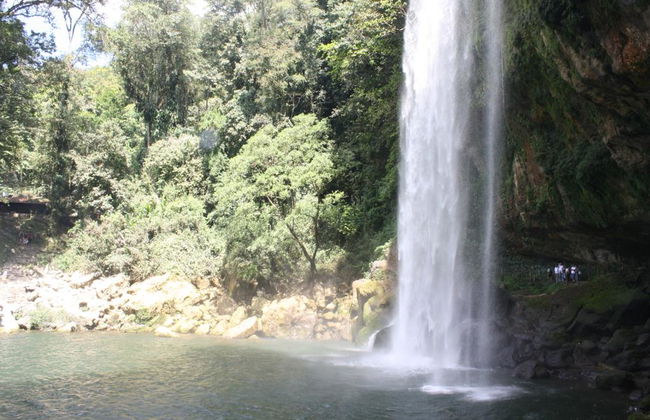 Cascadas de Agua Azul, Misol-Ha und Palenque - Foto 4