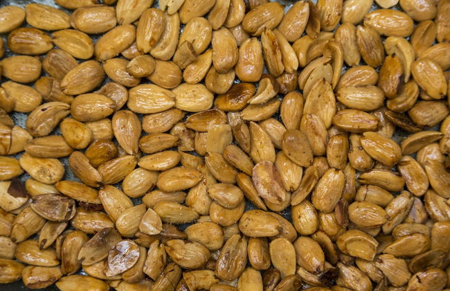 Casa de Casal de Loivos - Photo 29