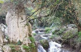 Holiday home "Goga" ruralna kuća - Foto 40